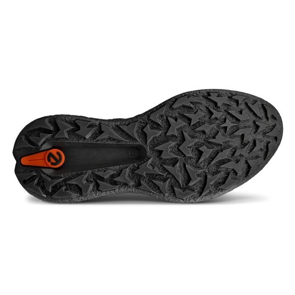 ECCO BIOM H5 サイズ42 BOA 未使用　値引き中 ecco エコー ゴルフシューズ バイオム H5 ボア BIOM BOA