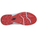 Sole
