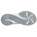 Sole