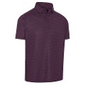 Italian Plum
