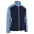 Peacoat/Mountain Bluebird