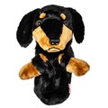 Dachshund - DAHCDAC