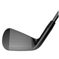 Callaway Apex Pro Smoke 2019 Steel Golf Irons