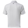 Light Gray Back