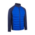 Blue/Navy