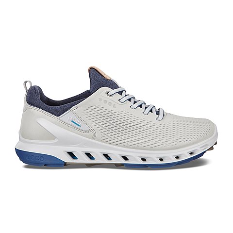 ecco biom performance run
