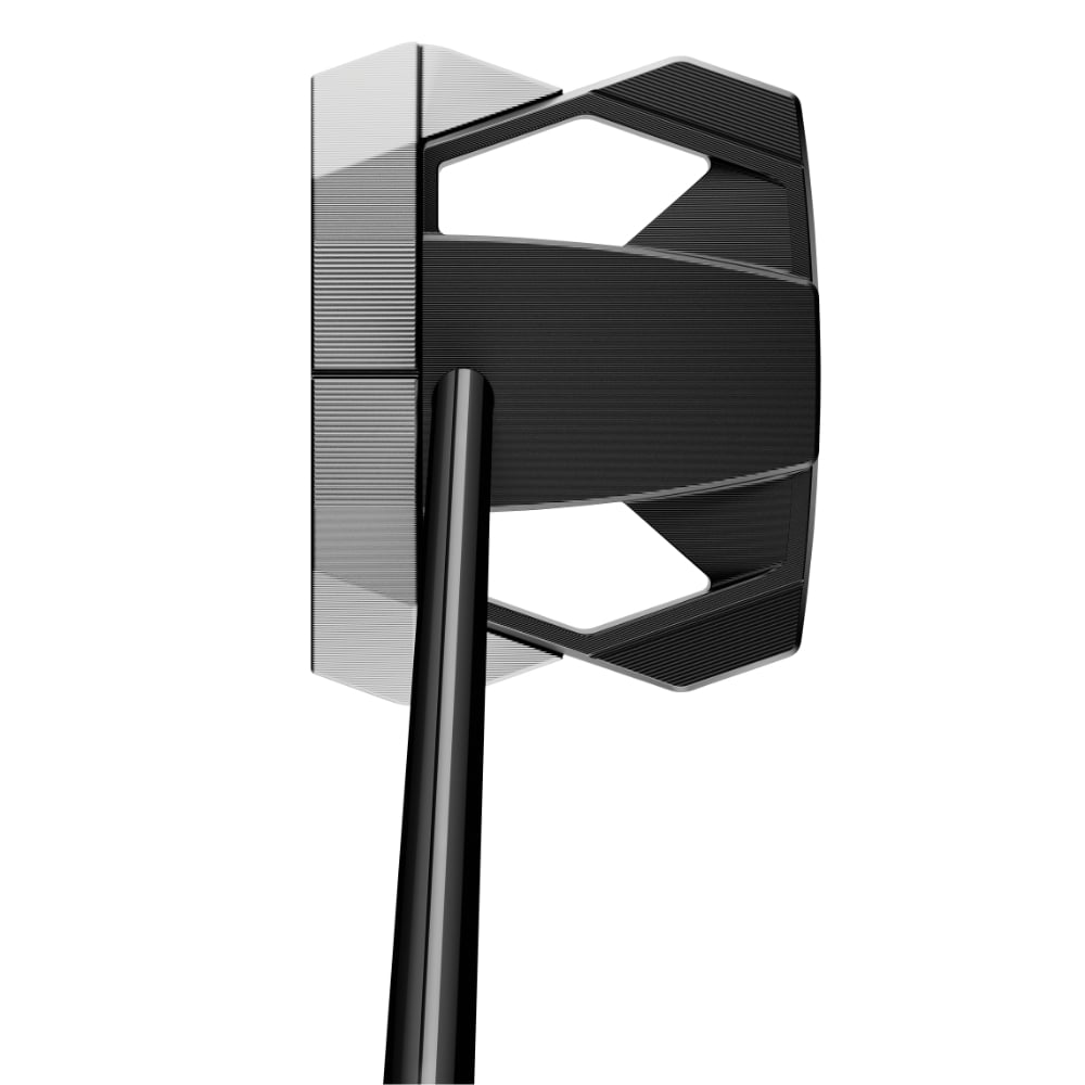 TaylorMade Spider ZT Long