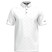  Mizuno Mens RB Golf Polo Shirt