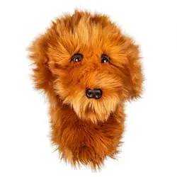 Daphne's Golf Doodle DogHeadcover