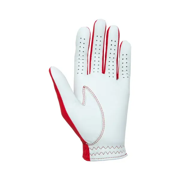 FootJoy Mens Spectrum Golf Glove A colour for everyday!