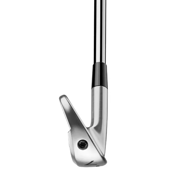TaylorMade P770 Steel Irons - 7 Club Set