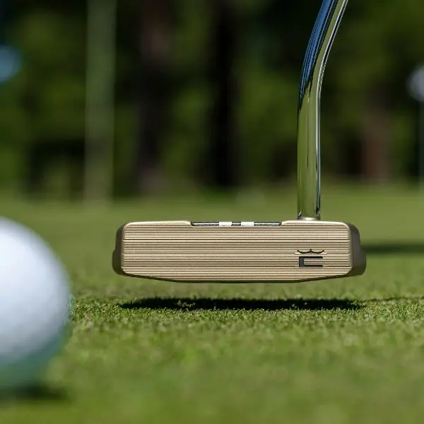 Cobra King 3D Printed Agera CB Mallet Putter