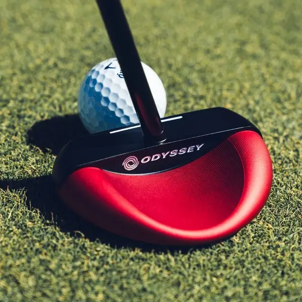 ODYSSEY DUAL FORCE ROSSIE 2 Putter Golf Club, RH, 35