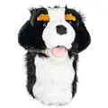 Burmese Mountain Dog