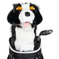 Burmese Mountain Dog