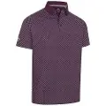 Italian Plum - CGKFG074-509