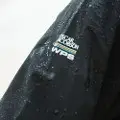 Zoom Detail