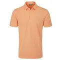 Tangerine Multi