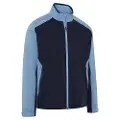Peacoat/Mountain Bluebird