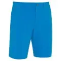 Brilliant Blue 