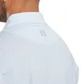 Studio Model