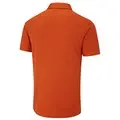 Russet Multi