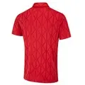 Rich Red