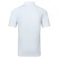White with Skyway