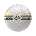 Zebra Distance Ball