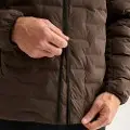 Zoom Detail