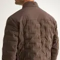 Zoom Detail